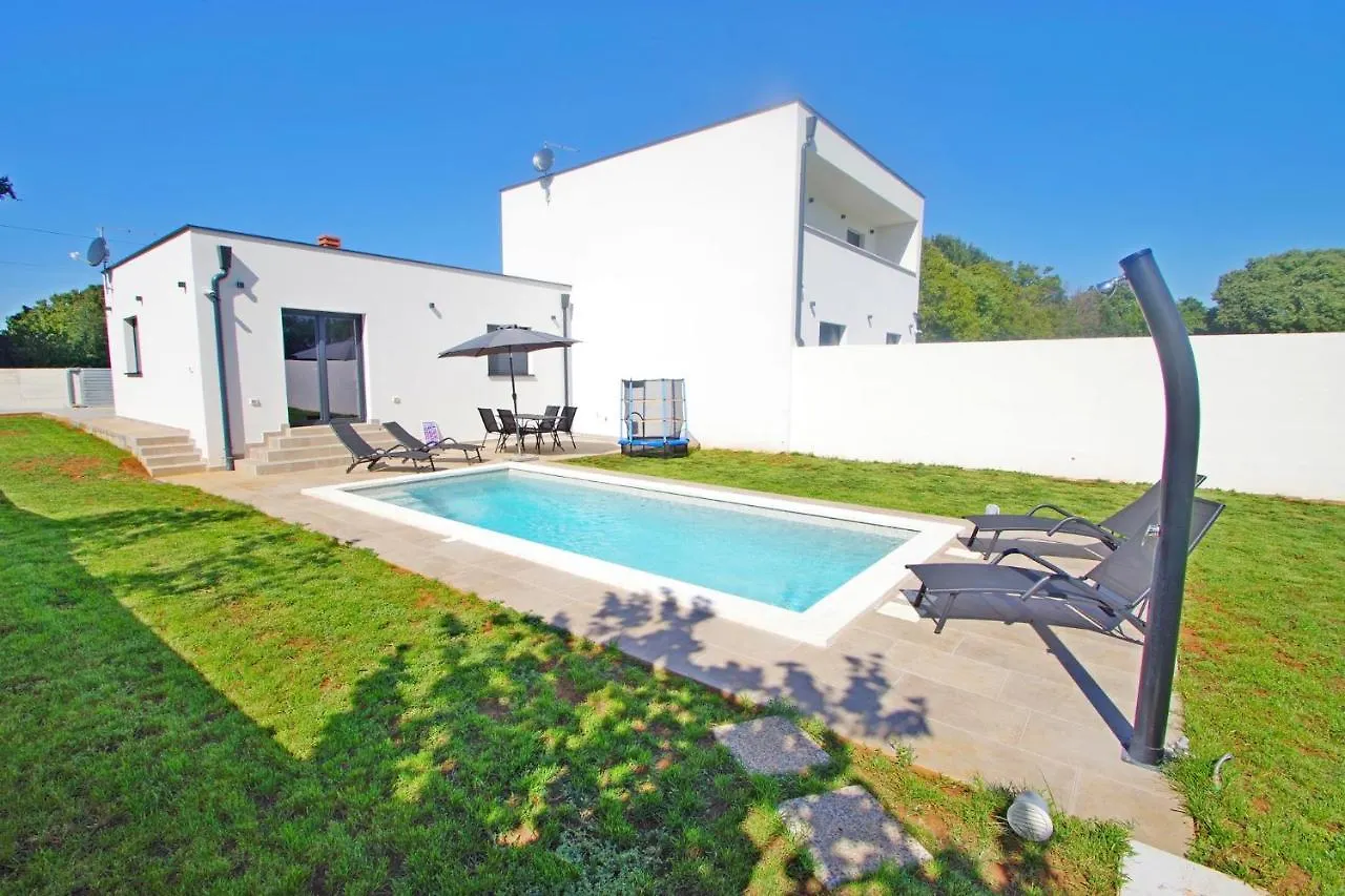 Holiday House With Private Pool In Village Sisan Holiday home