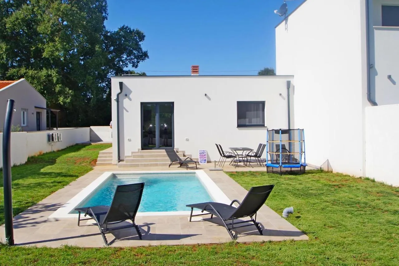Holiday House With Private Pool In Village Šišan 0*,  Kroatië
